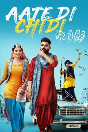 Aate di chidi (2018) Punjabi Movie | Hindi Dubbed Movie HDRip x264 [1GB]