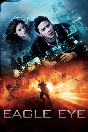 Eagle Eye (2008) Hindi Dual Audio | Hindi Dubbed Movie BluRay [1.3GB] ESubs