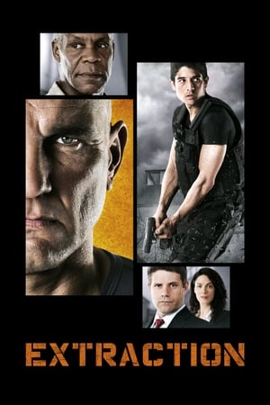 Extraction 2013 Hindi Dual Audio | Hindi Dubbed Movie WebRip 330MB