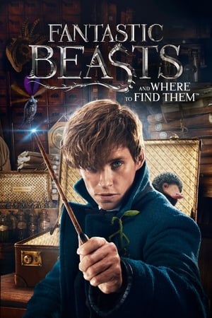 Fantastic Beasts and Where to Find Them 2016 Dual Audio (Hindi) BluRay | Hindi Dubbed Movie [1.1 GB]