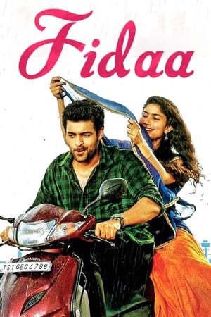 Fidaa 2017 [Hindi - Telugu] Dual Audio | Hindi Dubbed Movie Uncut HDRip [1.2GB]