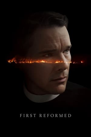 First Reformed 2017 Hindi Dual Audio | Hindi Dubbed Movie BluRay 350MB