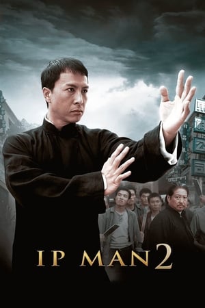 Ip Man 2 (2010) Hindi Dual Audio | Hindi Dubbed Movie BluRay 350MB