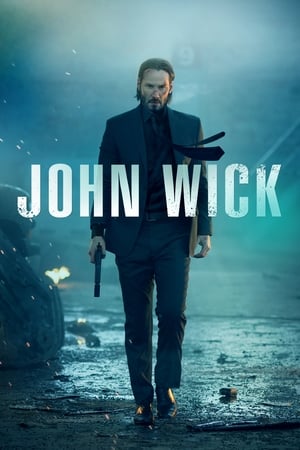 John Wick (2014) Hindi Dual Audio | Hindi Dubbed Movie BluRay [900MB] ESubs