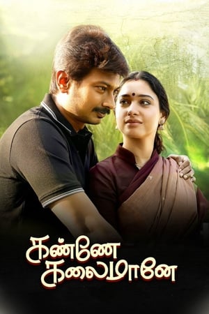 Kanne Kalaimaane 2019 (Hindi -Tamil) Dual Audio | Hindi Dubbed Movie UnCut HDRip [1GB]