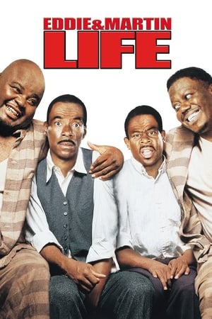 Life (1999) Movie Hindi Dual Audio | Hindi Dubbed Movie BluRay [2GB]