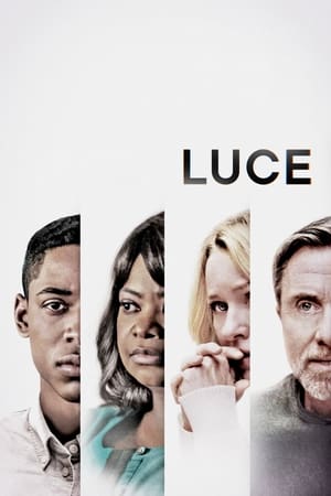 Luce 2019 Hindi Dual Audio | Hindi Dubbed Movie Web-DL 340MB