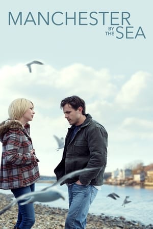 Manchester by the Sea 2016 Hindi Dual Audio | Hindi Dubbed Movie BluRay 400MB