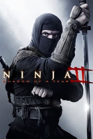 Ninja Shadow of a Tear 2013 Hindi Dual Audio | Hindi Dubbed Movie BluRay 300MB