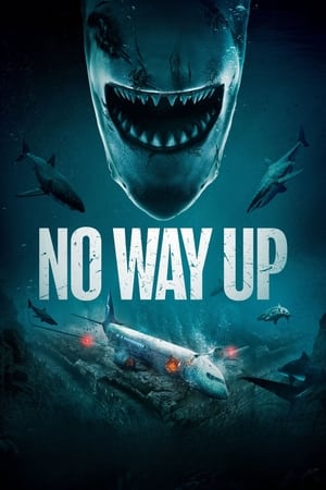 No Way Up (2024) Hindi Dual Audio HDRip | Hindi Dubbed Movie – 480p – 1080p