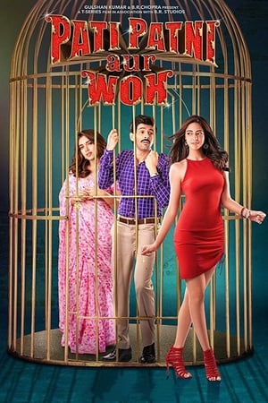 Pati Patni Aur Woh 2019 Hindi Movie | Hindi Dubbed Movie HDRip – [350MB]