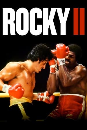 Rocky II (1979) Dual Audio Hindi Full Movie | Hindi Dubbed Movie Bluray - 850MB
