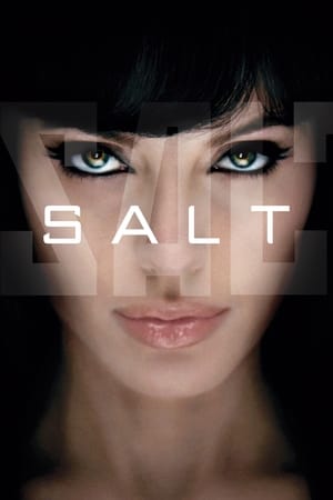 Salt (2010) Hindi Dual Audio | Hindi Dubbed Movie BluRay 300MB