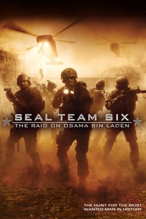 Seal Team Six: The Raid on Osama Bin Laden (2012) Hindi Dual Audio | Hindi Dubbed Movie BluRay 300MB