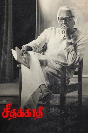 Seethakaathi (2018) Hindi Dubbed | Hindi Dubbed Movie HDRip 400MB