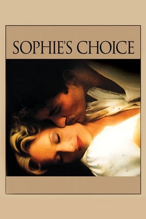 Sophie's Choice (1982) Dual Audio Hindi Full Movie | Hindi Dubbed Movie BluRay - 1.1GB