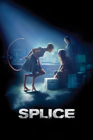 Splice 2009 Hindi Dual Audio | Hindi Dubbed Movie BluRay 330MB
