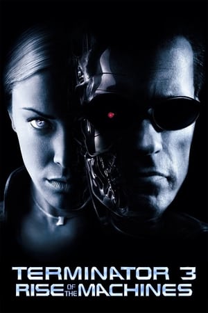 Terminator 3: Rise of the Machines (2003) Hindi Dual Audio | Hindi Dubbed Movie BluRay 350MB