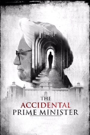 The Accidental Prime Minister (2019) Hindi Movie | Hindi Dubbed Movie HDRip x264 [1GB]