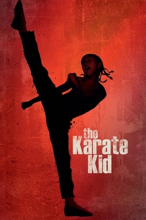 The Karate Kid 2010 Hindi Dubbed | Hindi Dubbed Movie Bluray 1GB Movie