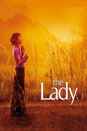 The Lady 2011 Dual Audio Hindi | Hindi Dubbed Movie Bluray 400MB