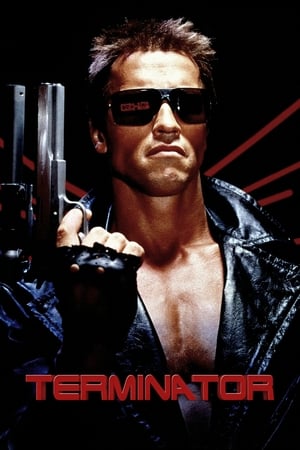 The Terminator (1984) Hindi Dual Audio | Hindi Dubbed Movie BluRay 380MB