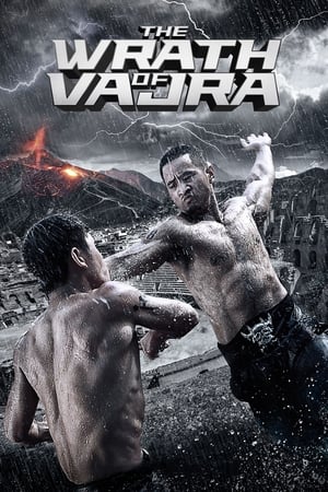 The Wrath of Vajra (2013) Hindi Dual Audio | Hindi Dubbed Movie BluRay [900MB]