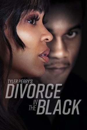 Tyler Perry’s Divorce in the Black (2024) Hindi Dual Audio HDRip | Hindi Dubbed Movie – 720p – 480p