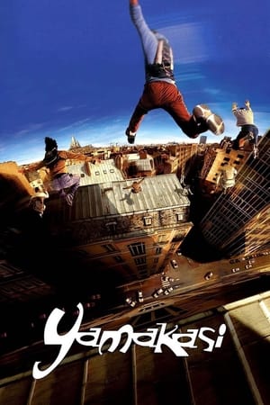 Yamakasi 2001 Hindi Dual Audio | Hindi Dubbed Movie BluRay 300MB